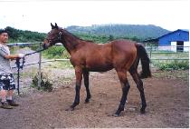 ���� (GWANGMAEK) ����