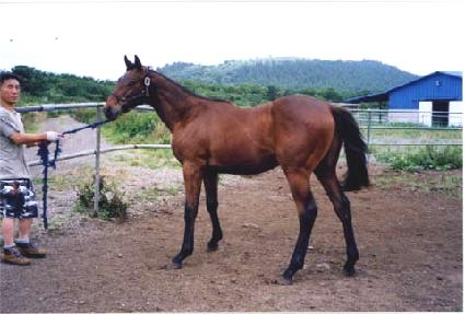 ���� ����