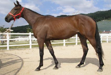 ���ڵ� ����