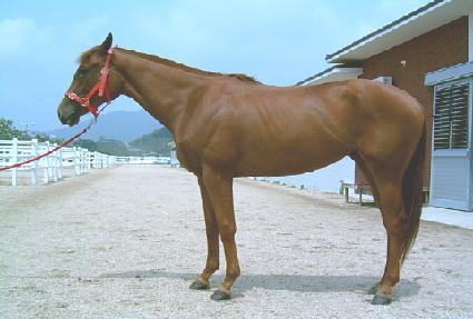 ��Ű�м� ����