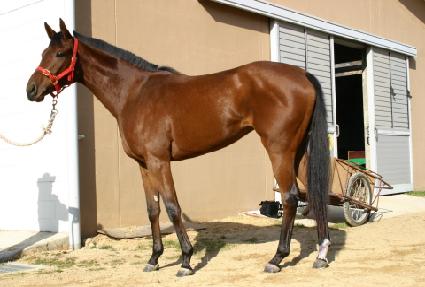 �����谨 ����