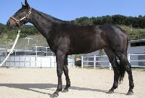 ���ϱ�� (TONGIL GIWON) ����