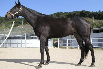 ���ϱ�� ����