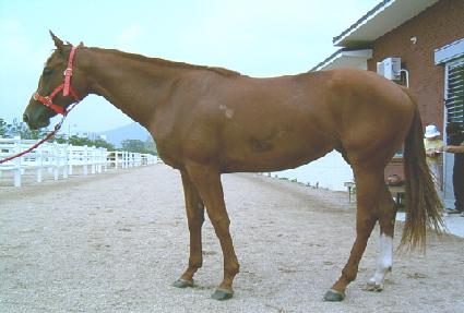 �������Ŀ ����