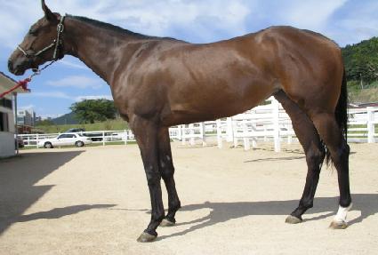 ������ ����