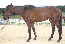 ���������� (WINNING TODAY) ����