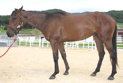 ���������� ����