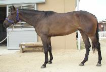 ���̵������Ʈ (LADIES DON��T WAIT) ����