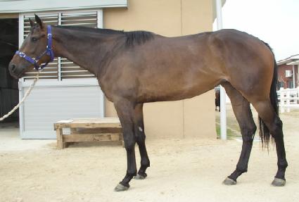 ���̵������Ʈ ����