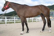 ��Ʈ������ӽ� (BETWEEN THE DROPS) ����