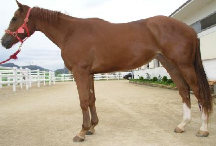 �ڳ������Ѹ� ����