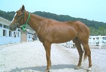 �ٶ��� (BARAMJIK) ����