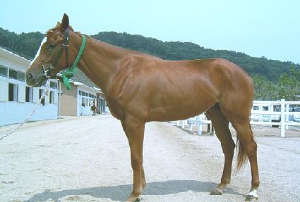 �ٶ��� ����