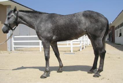 �������� ����