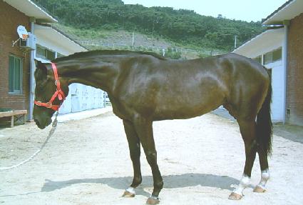 �����̽� ����