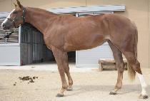 �׸����̽� (GREENWOOD MISS) ����