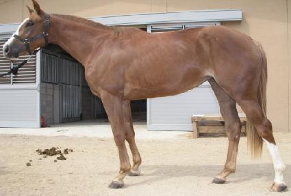 �׸����̽� ����