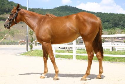 ���ý����� ����