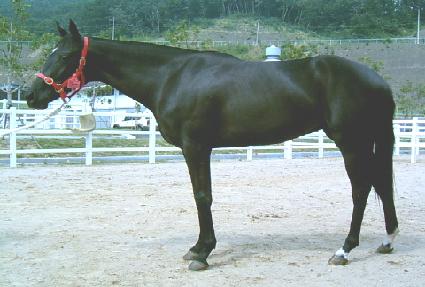 Ư�� ����