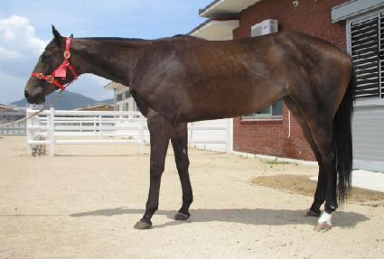 ��Ʈ�������� ����