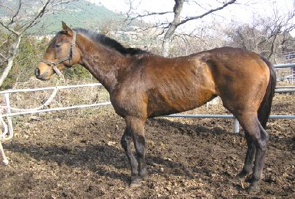 �ǽ��޸���� ����