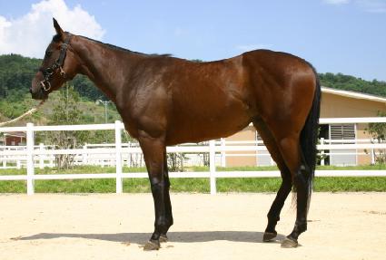 ������ ����