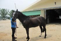 �ο��� (BUYEONDONG) ����