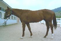 ������ǥ (GUKGA DAEPYO) ����