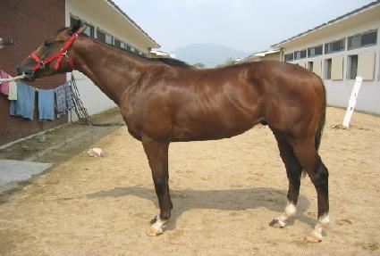 Ʈ���̹���� ����