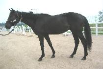 ũ��ū���� (KEUNAKEUN SEONMUL) ����