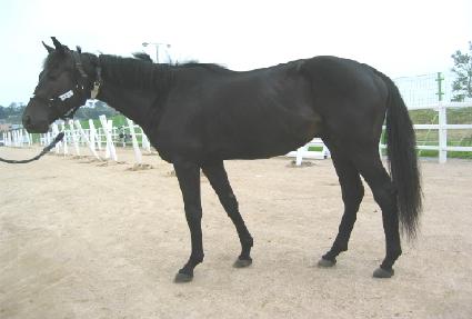 ũ��ū���� ����