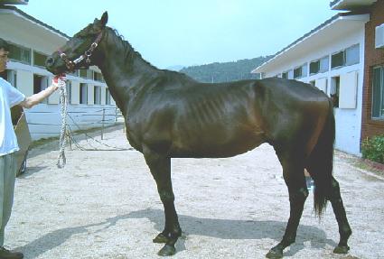 õ������ ����