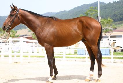 ������ ����