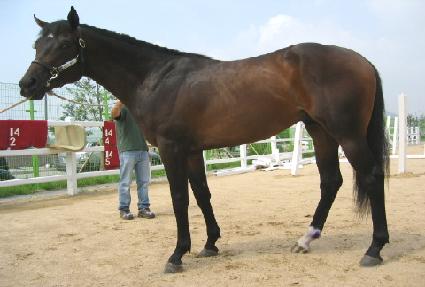 �ΰ� ����