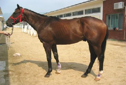 ü��������Ĺ ����