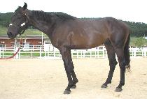 �����÷�ũ (AIR PLANK) ����