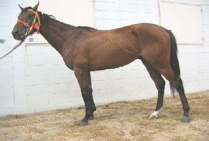 �ѻ�ɰ� ����