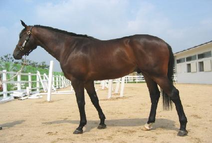 �λ걤�� ����