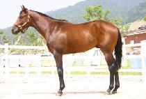 ����Ʈ����� (POST HERO) ����