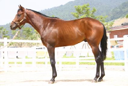 ����Ʈ����� ����