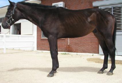 �Ҿϻ� ����