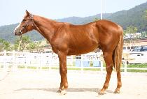 �ʴ����� (CHODAE JEWANG) ����