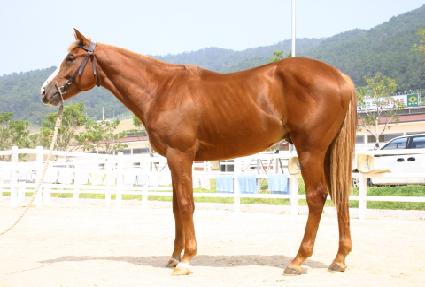 �ʴ����� ����