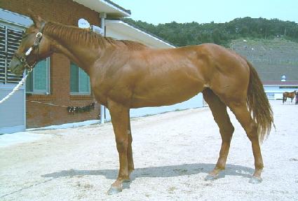 ������ ����