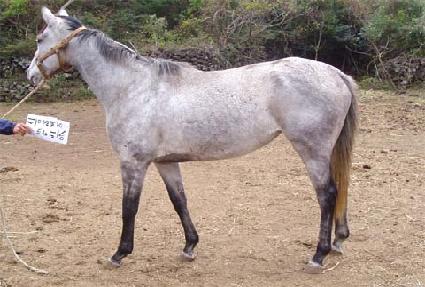 ���ٿ���Ʈ���̽� ����