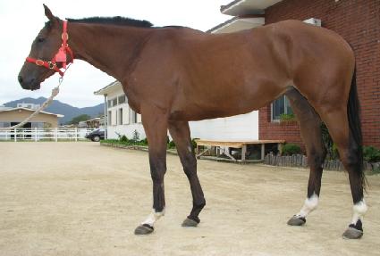 ���мǵ���� ����