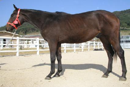 ��������Ƽ���ڹ� ����