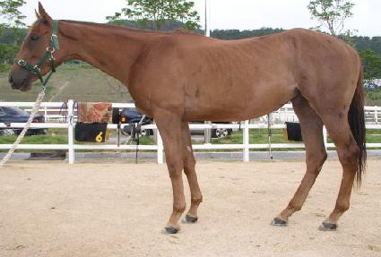 �����ʸ��̽� ����