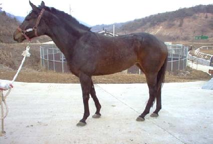 ũ������� ����