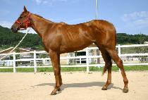 ���������Ž��� (I��M PRECIOUS TOO) ����